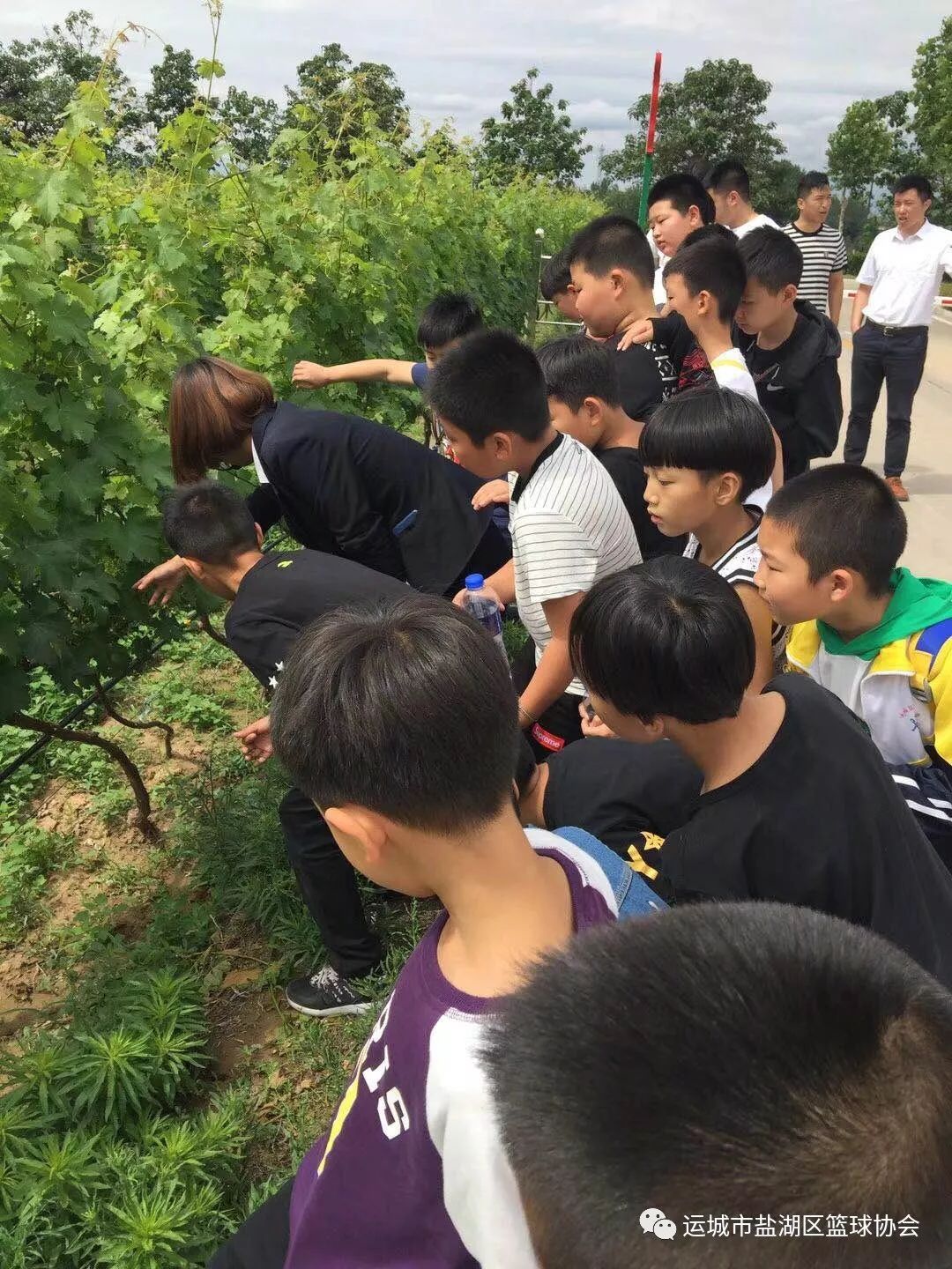 职业球员如何通过联赛提升竞技水平_0