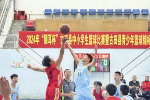  寻找适合青少年的篮球锦标赛：全面指南与实用建议